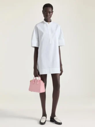 ボックスレザー製ミニ・Antigona Bag